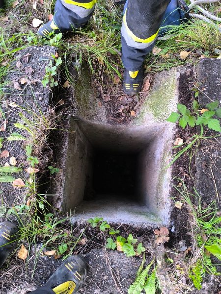 Tierrettung -Katze aus Abwasserrohr (Bild 3)